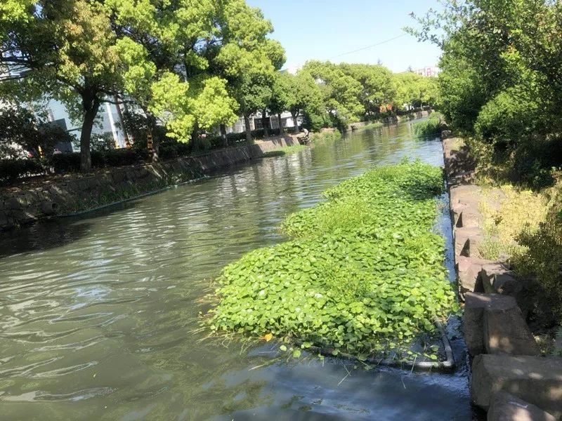 1650351427164106.jpg 5y83p6NrMU7.jpg