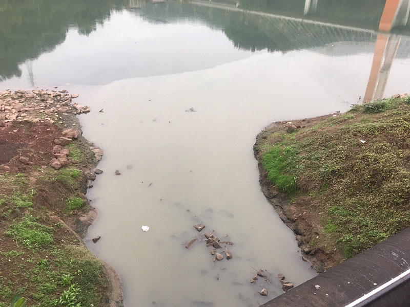 1650351560485537.jpg 6I71x4meR9G.jpg