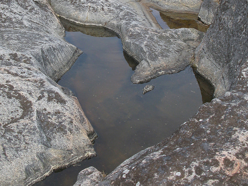 1650351717397549.jpg 7h91H2OJg5u.jpg