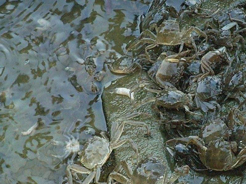 1650351976183966.jpg 7XZ6obj823O.jpg