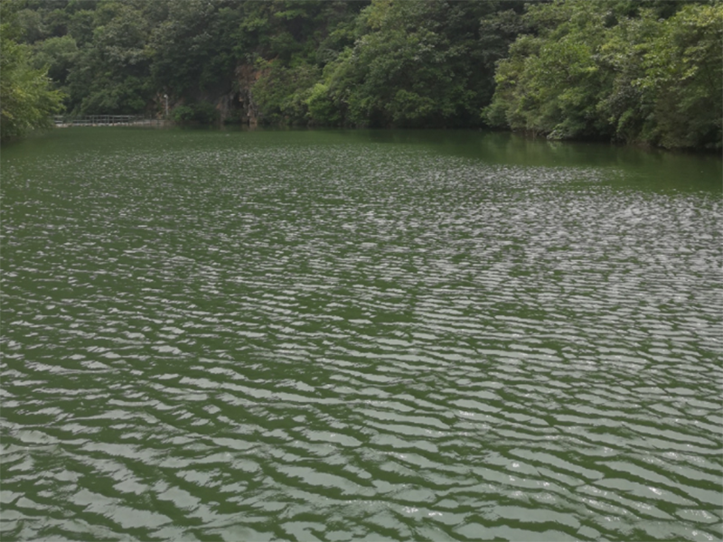 污水處理關鍵因素