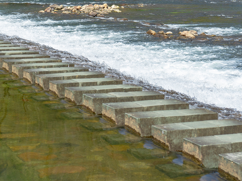 廢水氨氮高該怎么辦