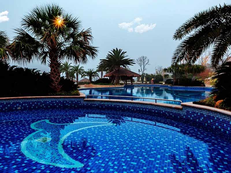 游泳池水質處理辦法 游泳池水質處理辦法