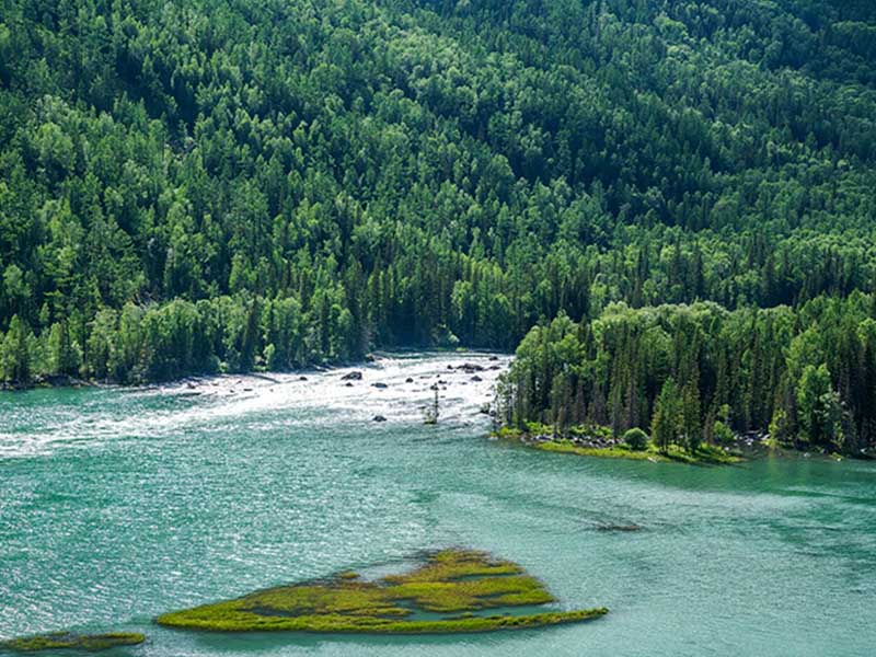 總磷已成為水污染首要污染物 總磷已成為水污染首要污染物