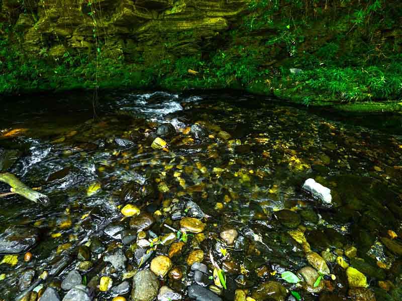 氨氮廢水處理方法 氨氮廢水處理方法