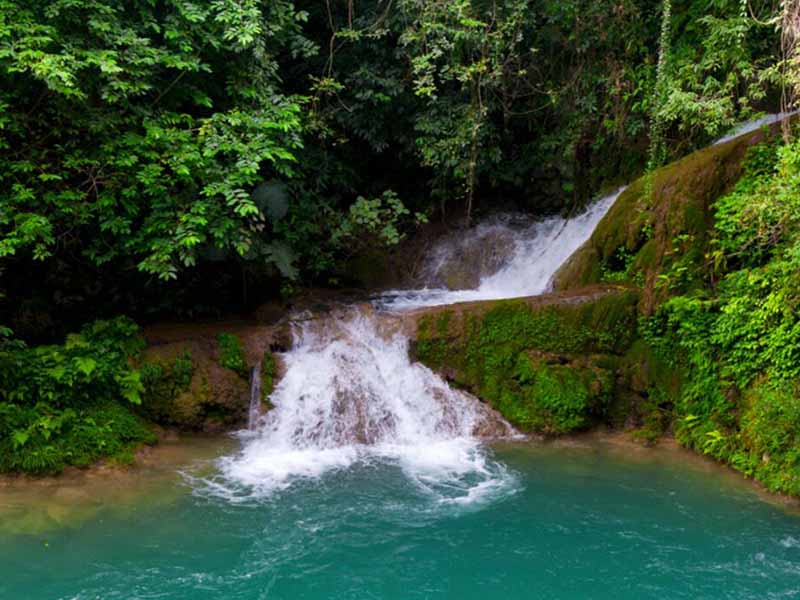 600多家茅臺酒企超排廢水被整頓關停 600多家茅臺酒企超排廢水被整頓關停