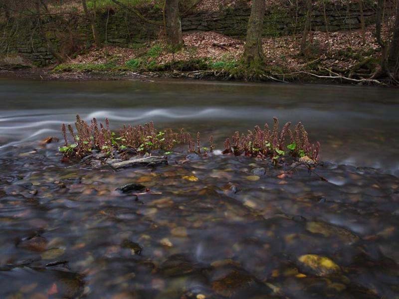 污水廠停運部分設施但出水未超標是否處罰 污水廠停運部分設施但出水未超標是否處罰