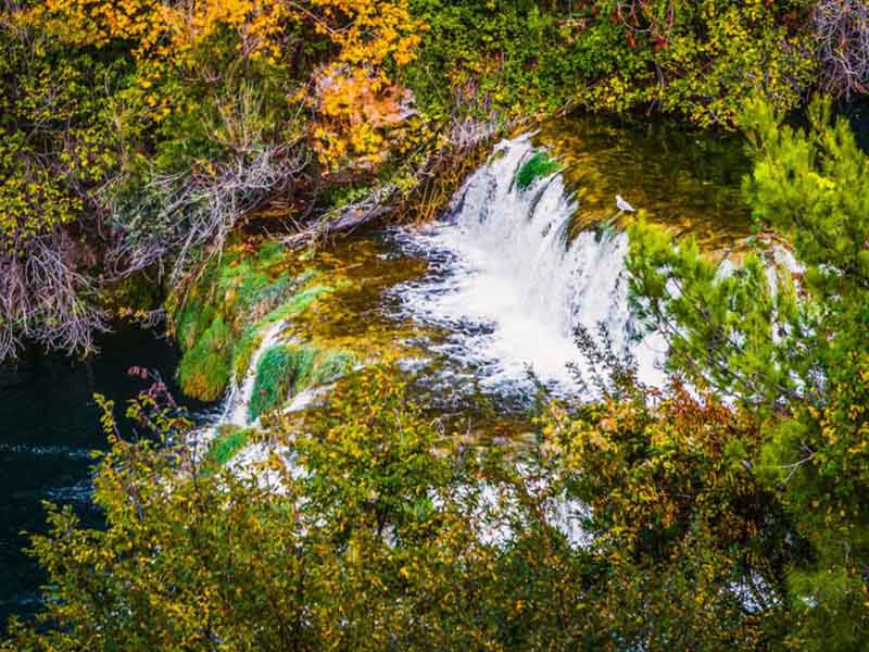 余氯檢測時聞到味了卻不顯色是為什么 余氯檢測時聞到味了卻不顯色是為什么