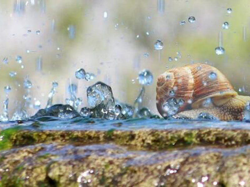 關于折點加氯的5個常見問題