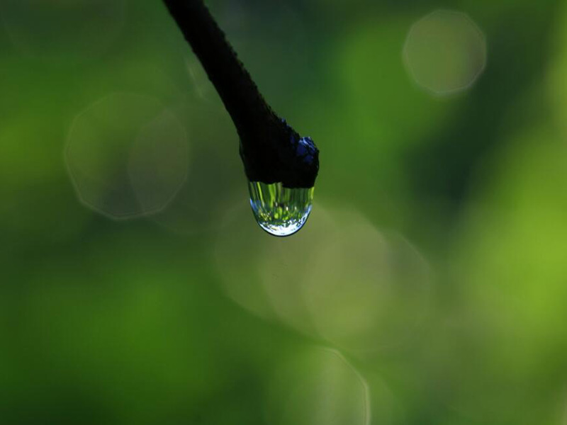 多參數水質測定儀價格 多參數水質測定儀價格
