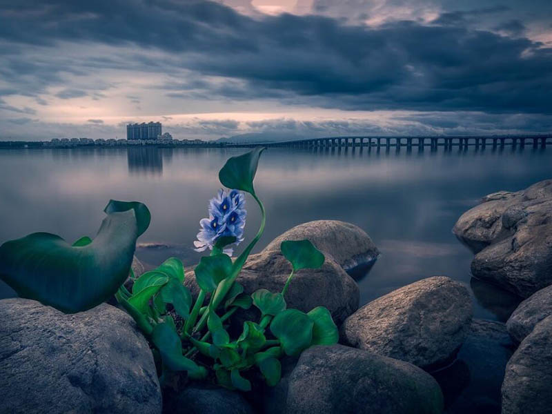 COD在線監測儀操作規范 COD在線監測儀操作規范