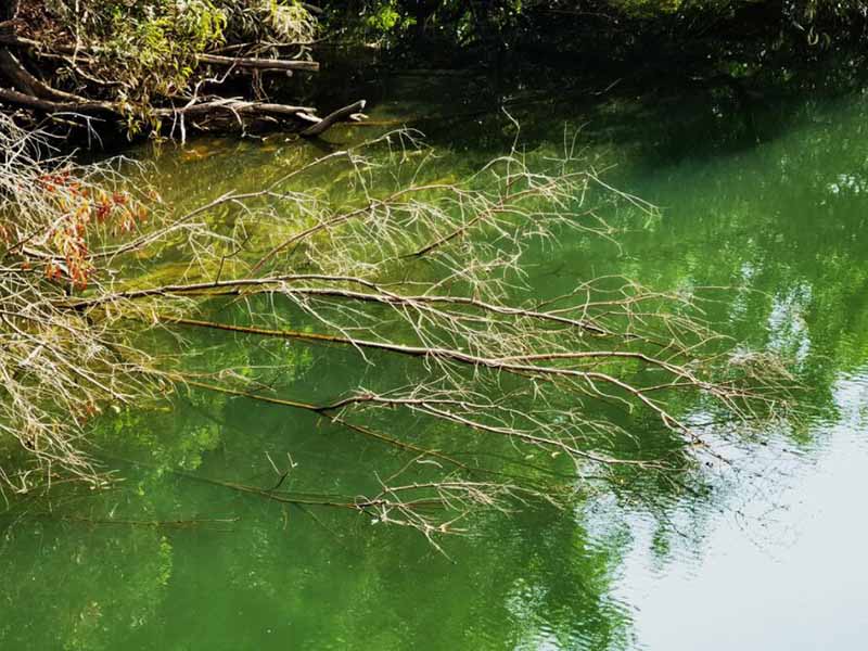 水質氨氮測定儀檢測步驟