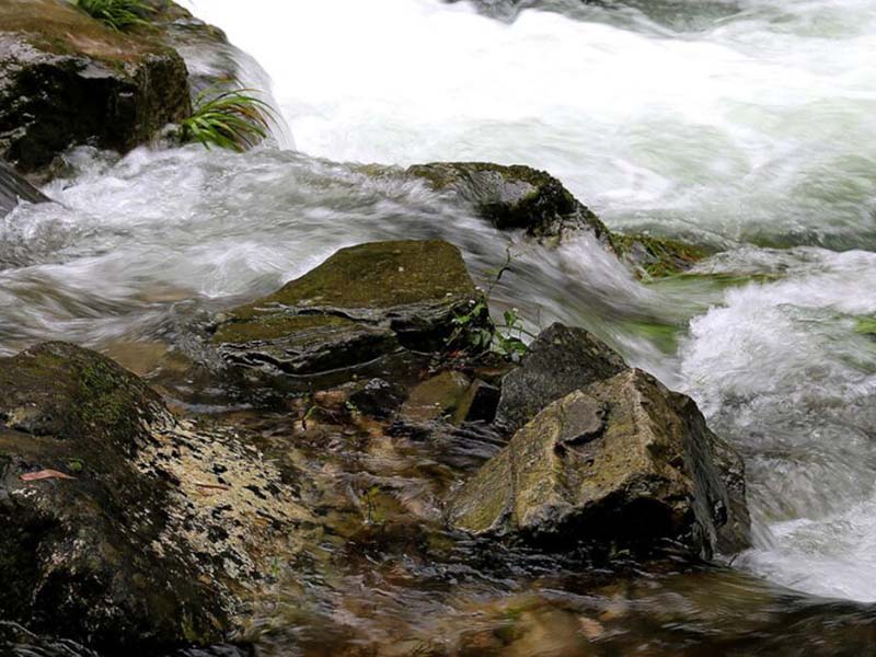 水質檢測氨氮高于總氮的原因