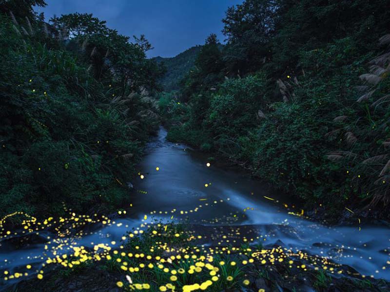 水質揮發酚檢測方法原理介紹