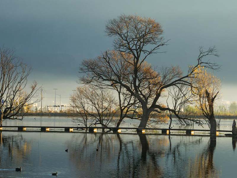 紅外分光測油儀檢測的準確嗎 紅外分光測油儀檢測的準確嗎