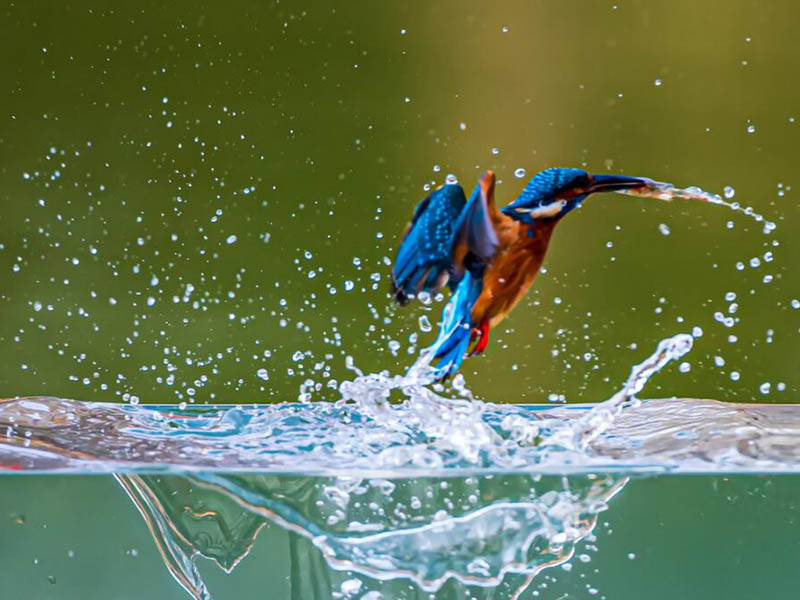 濁度會影響總磷在線監測儀的準確度嗎