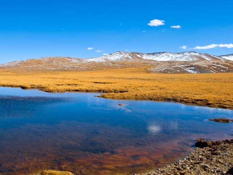 便攜式電導率分析儀作用 便攜式電導率分析儀作用