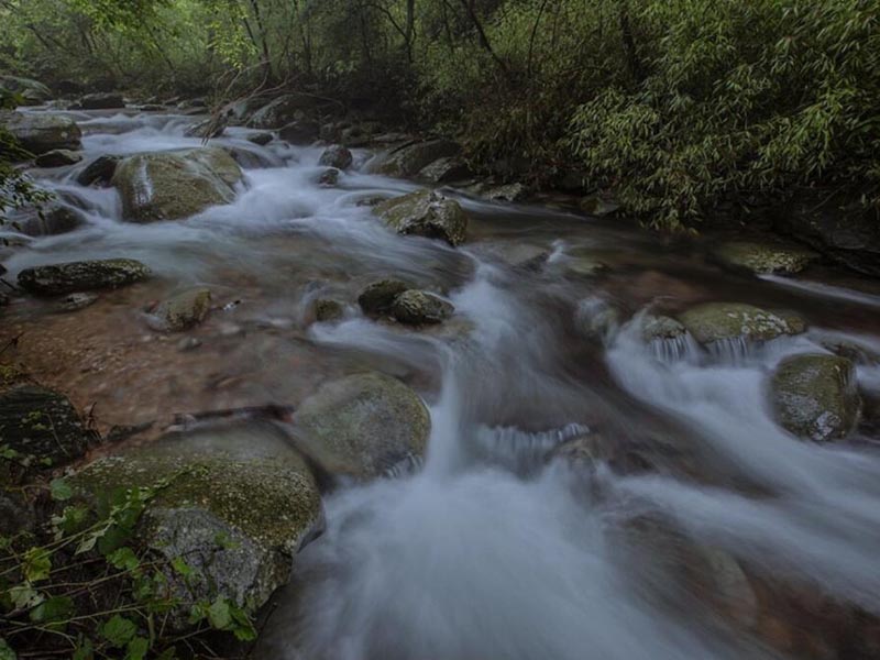 水質氨氮檢測常見問題有哪些