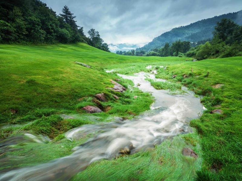 總氮水質分析儀檢測有誤差怎么辦