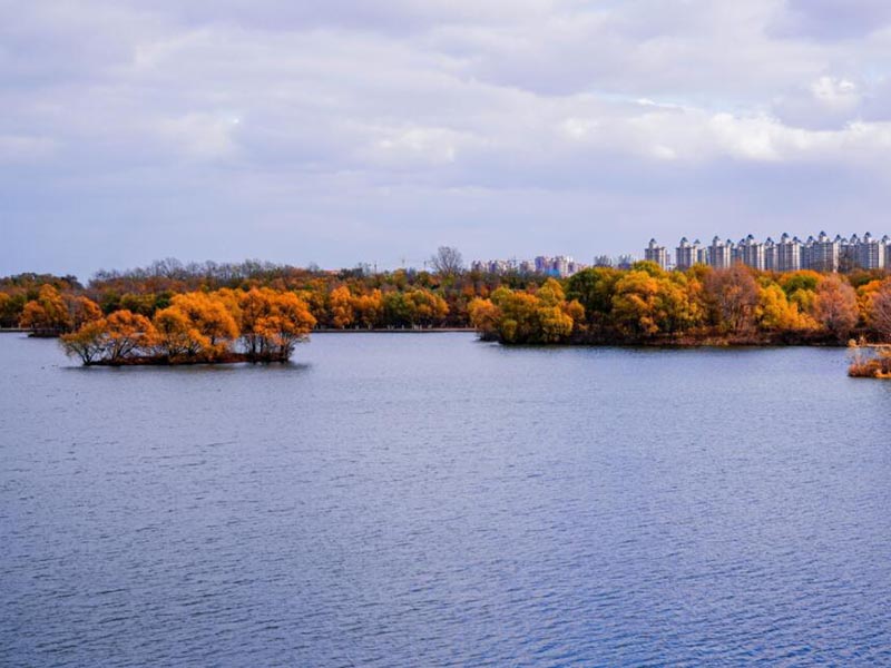 水質重金屬檢測儀哪個品牌好