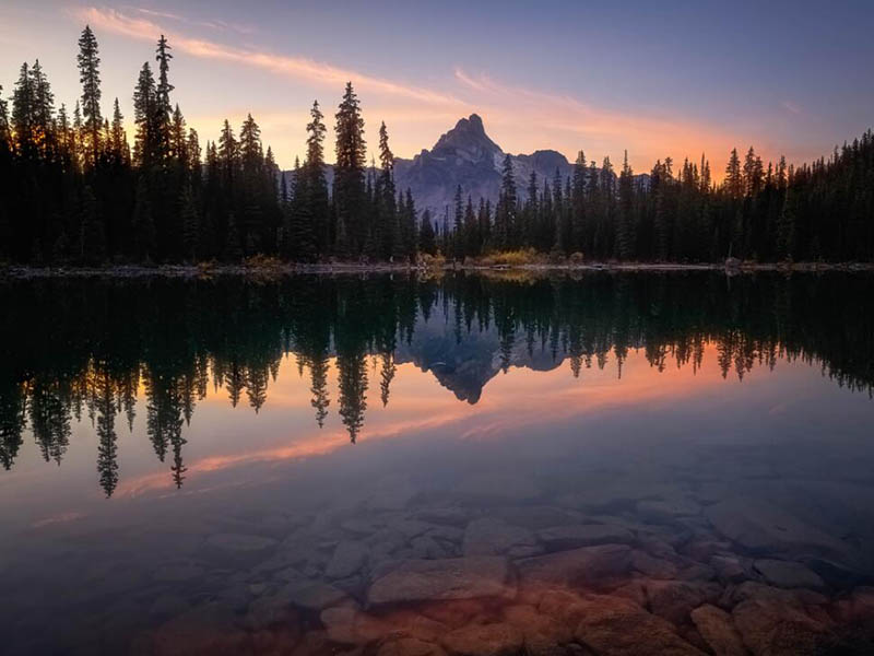 為什么要檢測BOD5