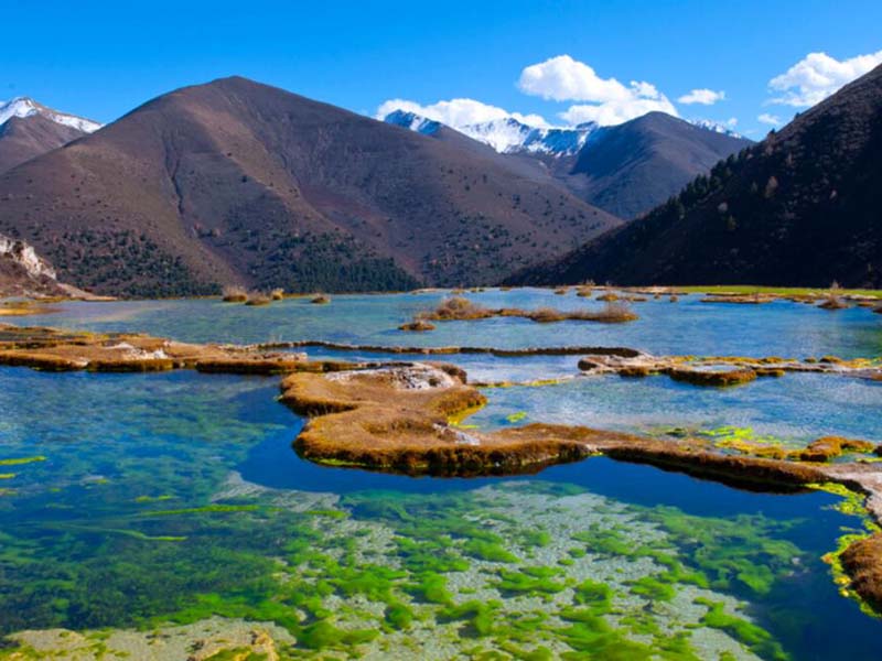 水質糞大腸菌群檢測的標準限值