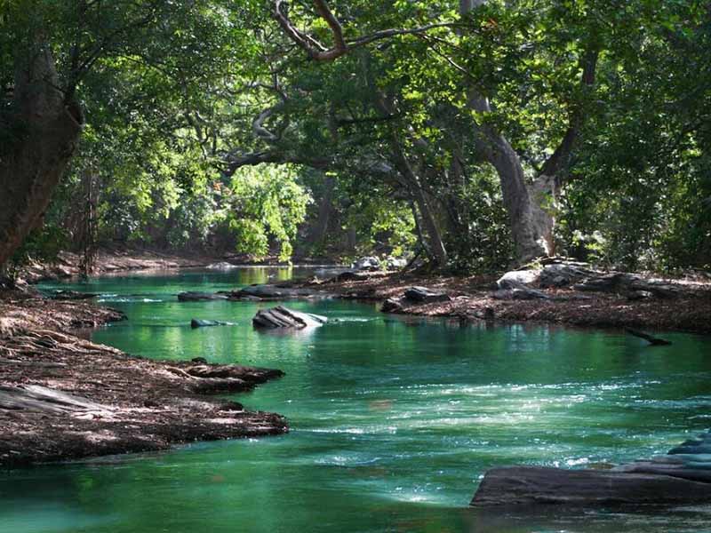 總磷測定國家標準