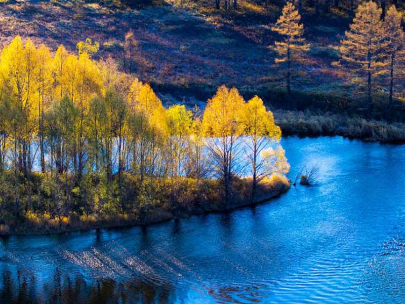 冬季氨氮持續升高怎么辦