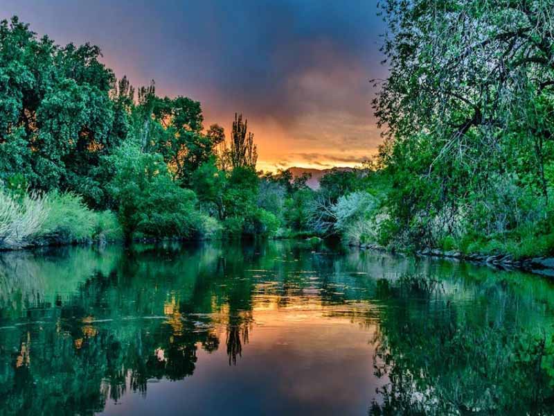 水質重金屬檢測方法