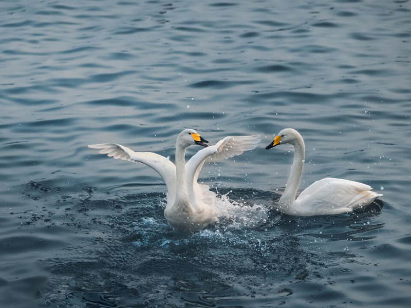 水質電導率檢測標準