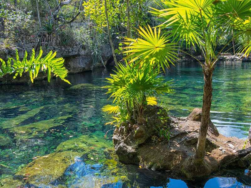 溶解氧高低說明水質如何