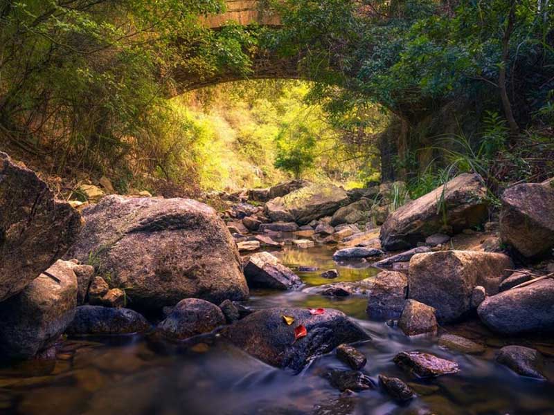 自來水濁度標準