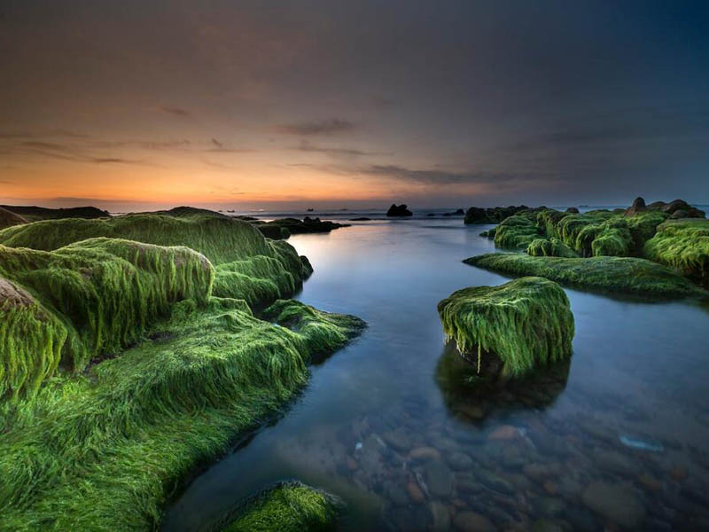 總磷快速測定儀怎么用