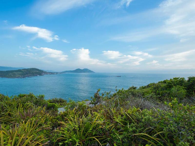 水質等級分類及標準限值