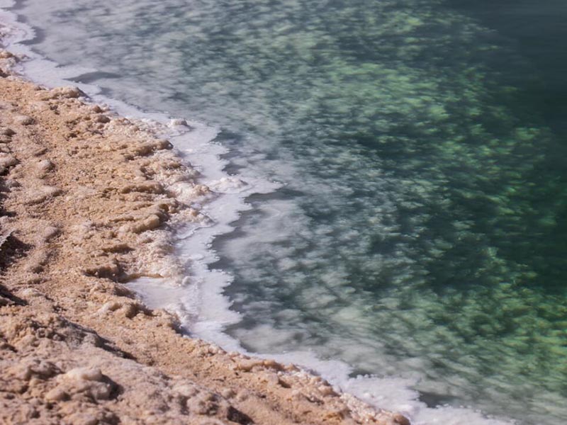 水中藍綠藻檢測儀的作用