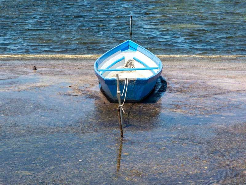 水產養殖需要監測哪些水質指標