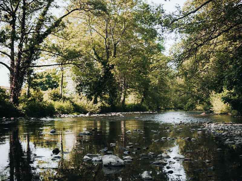 總磷的測定方法有哪些