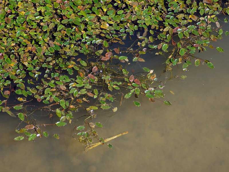 污水處理中的污泥檢測項目
