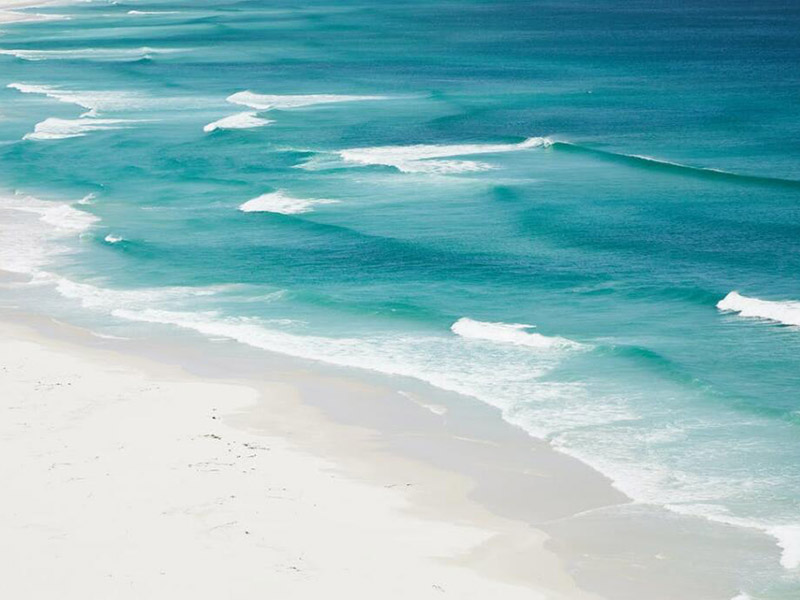 化學需氧量COD的概念