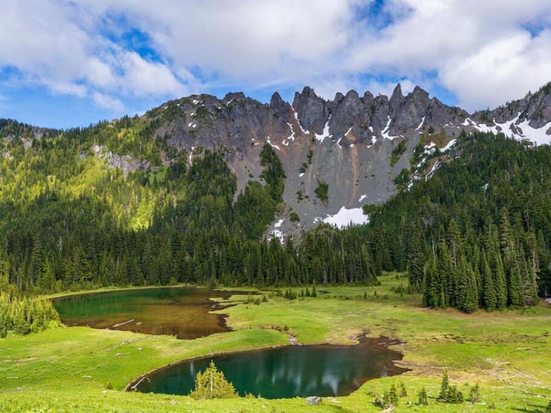 便攜式藍綠藻分析儀測量原理