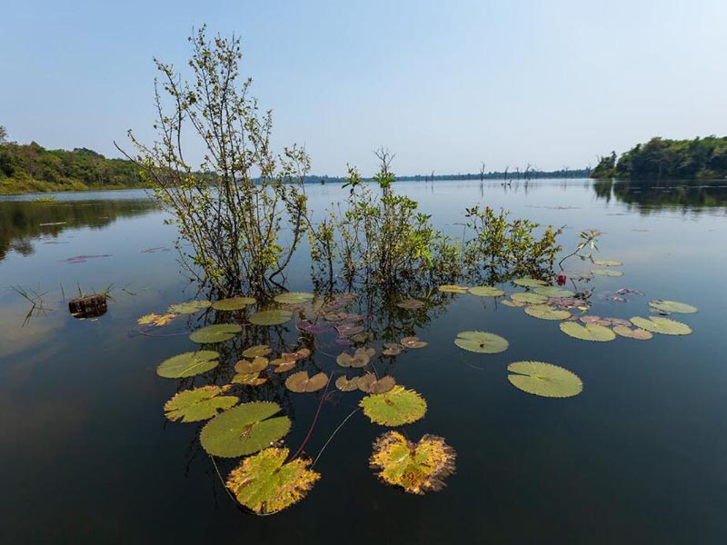 水產養殖氨氮的產生原理