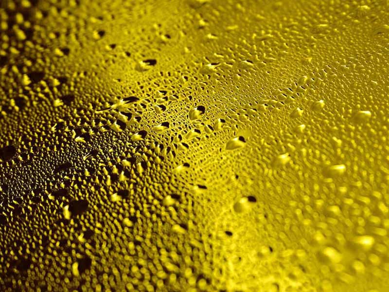 水質細菌微生物檢測儀原理