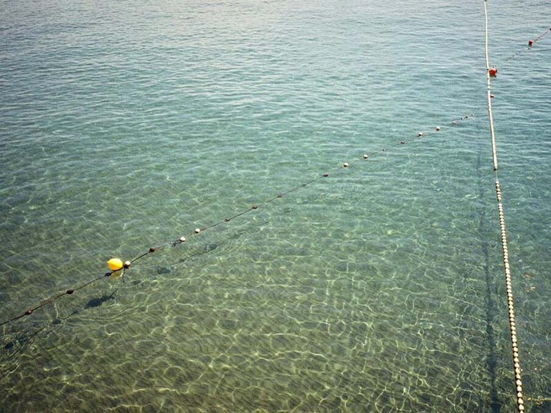 水產養殖為什么要檢測水溫