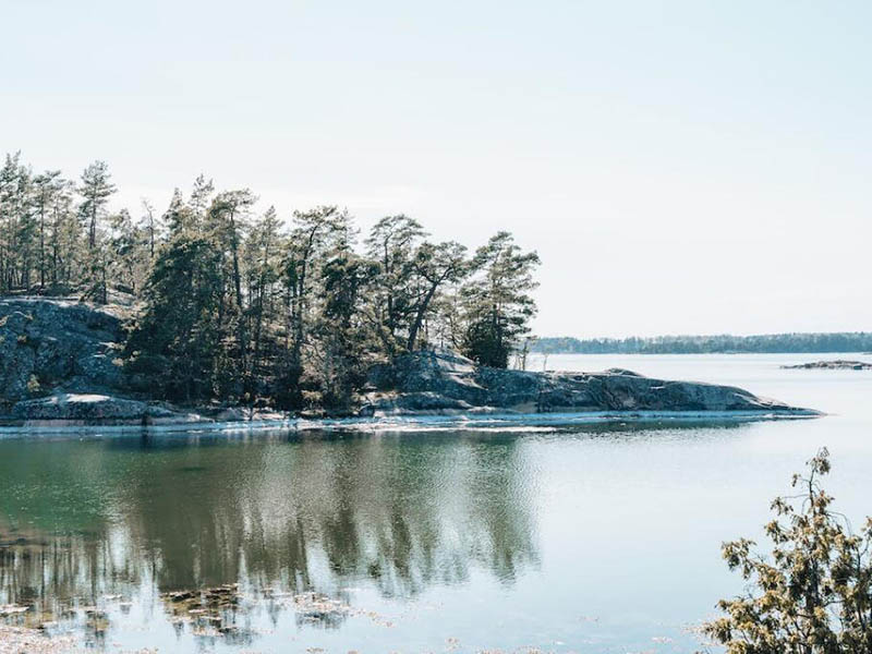 余氯總氯在線分析儀的原理