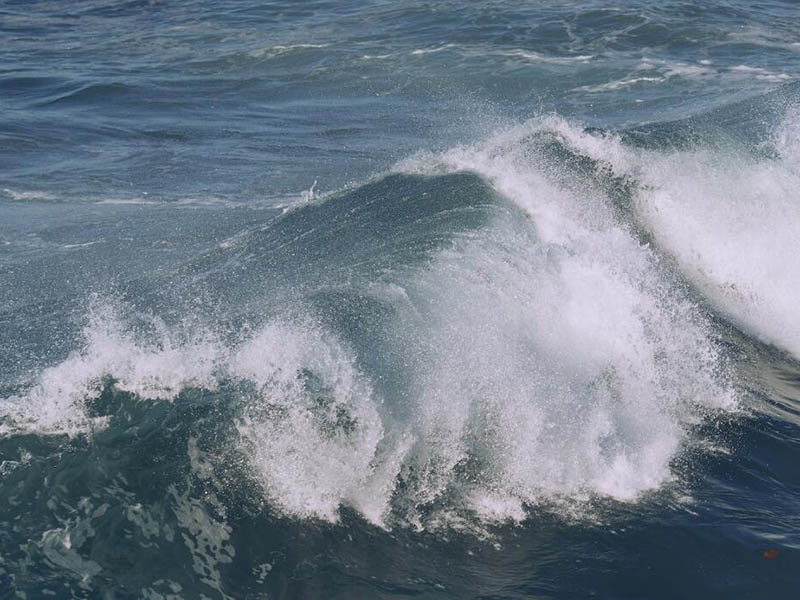 氨氮檢測儀數據相同怎么辦