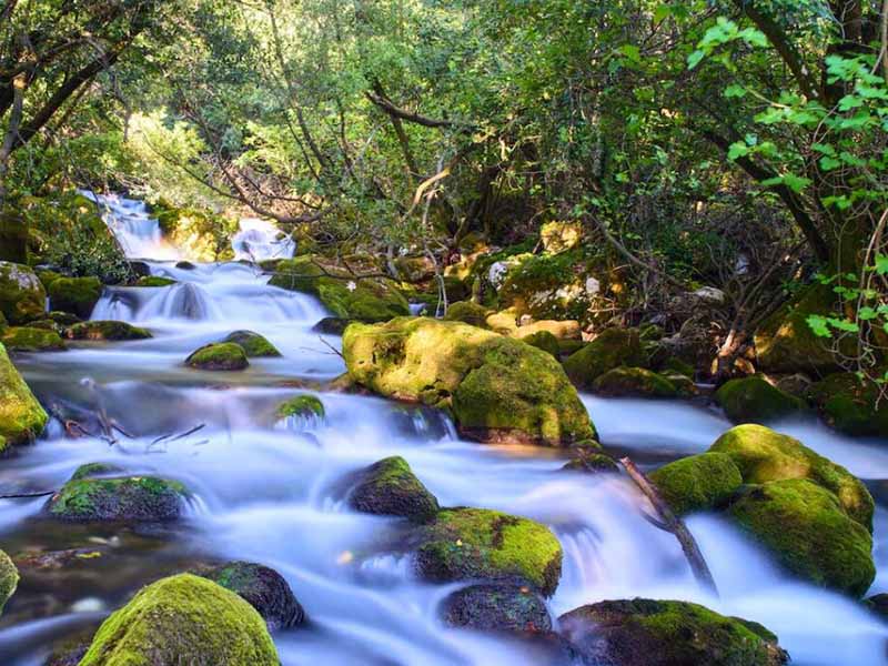水質硫化物酸化吹氣儀哪種好