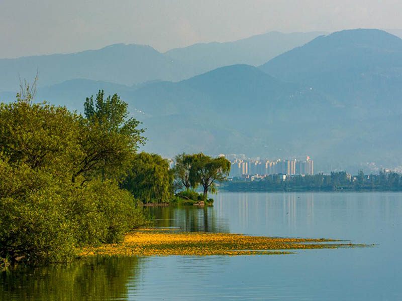 總磷測定儀檢測步驟