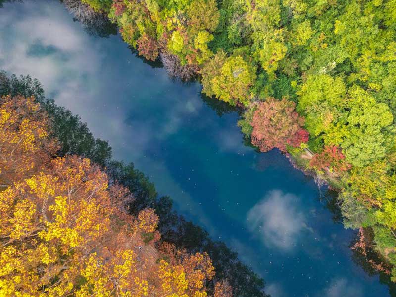 影響氨氮測定儀準確度的因素