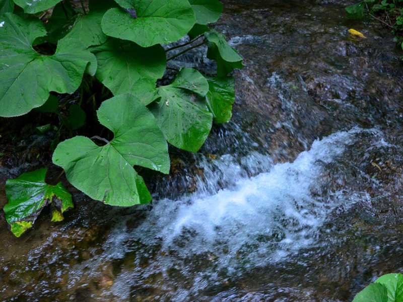 氨氮測定儀檢測試劑如何選擇