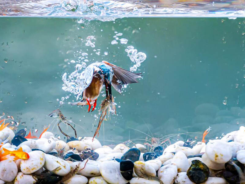 余氯檢測儀正確使用方法